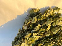 Березовые веники ИП хозмаг