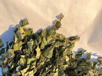 Березовые веники ИП хозмаг