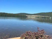 Душица (матрешка)