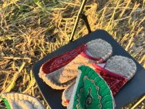 Быстроходы восточные