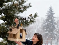 Кормушка  для птиц