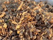 Дубовые опилки