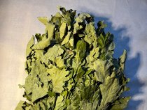 Веник дубовый 60см