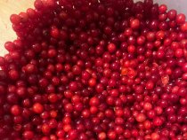 Калина мороженная 