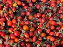 Шиповник сушёный