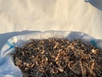 Дубовые опилки