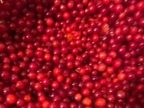 Калина мороженная 