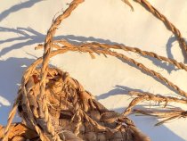 Лапти настоящие 