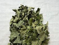 Веник дубовый 60см